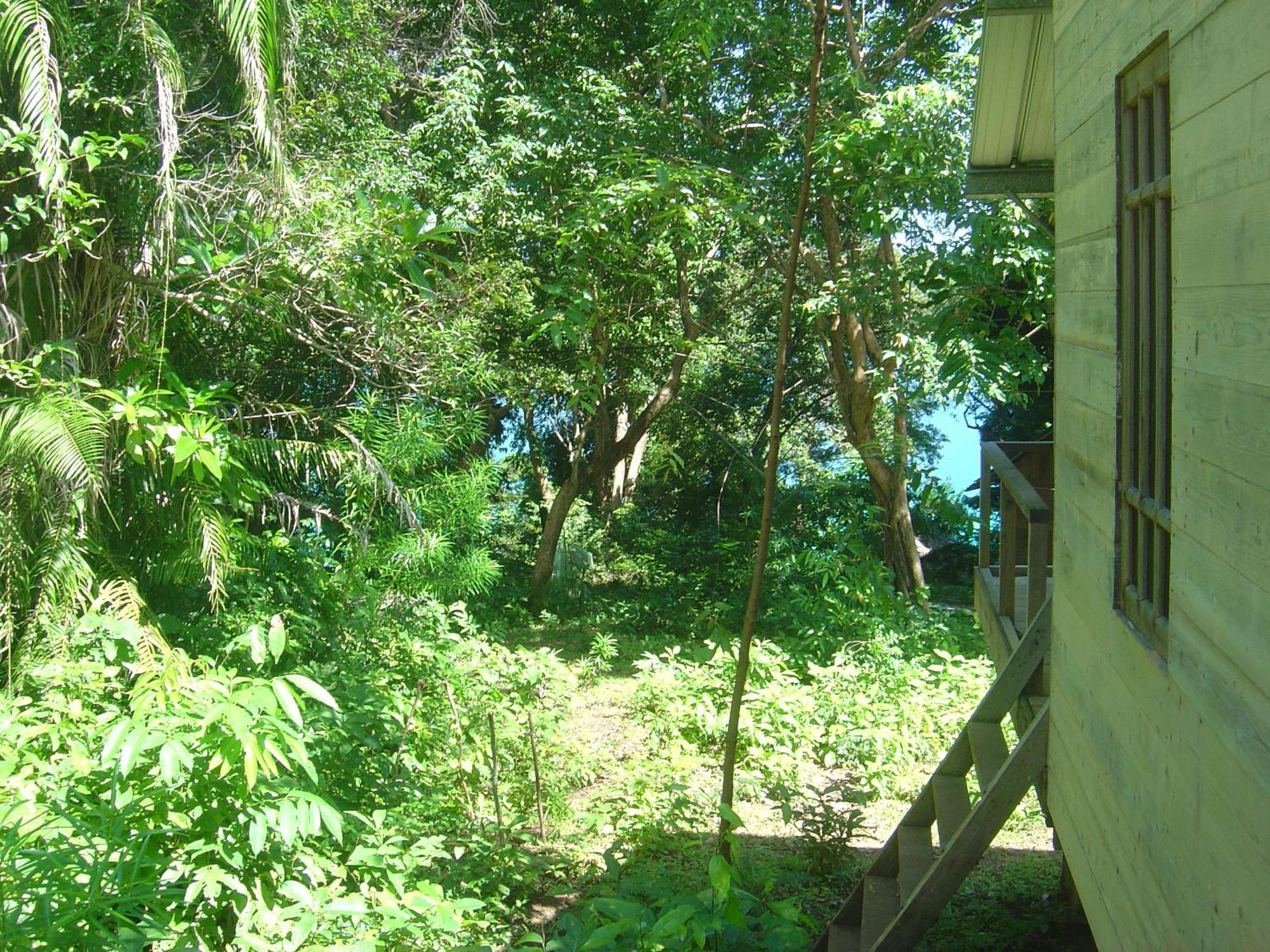 Olala Cafe & Bungalows Sabang  Eksteriør bilde